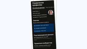 Что такое ИП на Авито в Ситилайнс