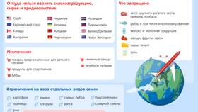 Что запрещено использовать: правовые ограничения в Ситилайнс