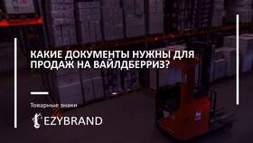 Что значит «на WB не оплачен» в Ситилайнс