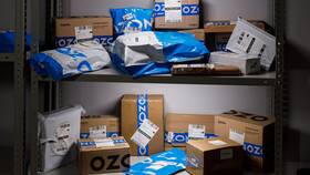 Доставка Ozon: что входит в услугу в Ситилайнс