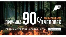 Исправительные работы как вид административного взыскания в Ситилайнс