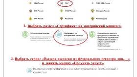 Как найти информацию о выплатах на портале Госуслуг в Ситилайнс