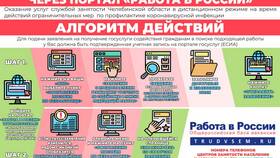 Как оформить статус безработного через Госуслуги: пошаговая инструкция в Ситилайнс