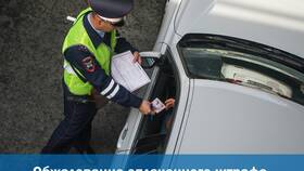 Как оспорить постановление ГИБДД об административном правонарушении в Ситилайнс