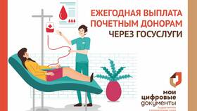 Как подать заявление на выплату через Госуслуги в Ситилайнс