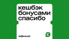 Как применять кэшбэк в Ситилайнс