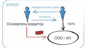 Как рассчитать стоимость доли в ООО в Ситилайнс
