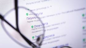 Как заказать справку 3-НДФЛ на Госуслугах в Ситилайнс