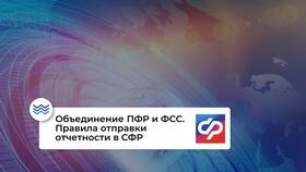 Как зарегистрировать ООО в СФР в Ситилайнс