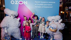 Почему на Ozon не открываются картинки в Ситилайнс