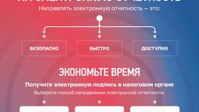 Причины отсутствия налоговых уведомлений в Ситилайнс