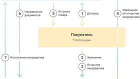 Виды платежных документов и их назначение в Ситилайнс