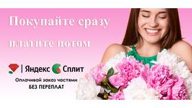 За что начисляются баллы в программе лояльности 