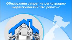 Запрещение регистрации в ЕГРН: значение и последствия в Ситилайнс